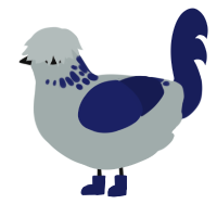 Holiday, a silver and navy chicken with a neck-speckle pattern