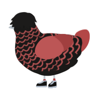A sable and red chicken with a lace pattern
