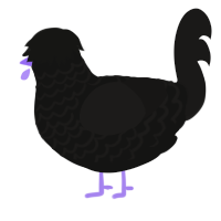 A black and sable chicken with a lace pattern
