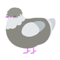 This Is A Seagull, a ash and mist chicken with a head pattern