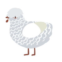 A mist and white chicken with a lace pattern