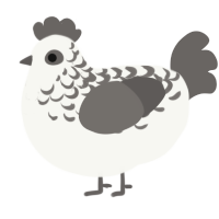 A white and grey chicken with a half-lace pattern