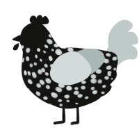 A black and silver chicken with a speckle pattern