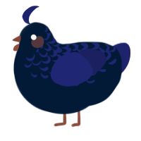 A tumblr and navy chicken with a half-lace pattern