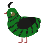 A leaf and sable chicken with a bar pattern