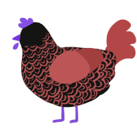 Plateau, a black and red chicken with a double-lace pattern