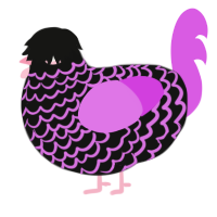A black and orchid chicken with a lace pattern