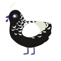 A sable and white chicken with a half-lace pattern