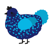 A navy and cerulean chicken with a speckle pattern
