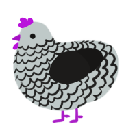 A silver and sable chicken with a lace pattern