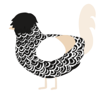 A sable and cream chicken with a double-lace pattern