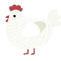 A white chicken with a lace pattern
