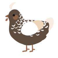 A bark and cream chicken with a half-lace pattern