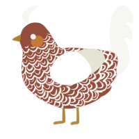 Gingerchimken, a russet and white chicken with a double-lace pattern