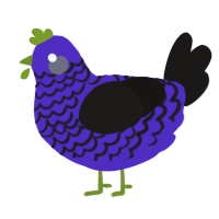 A indigo and sable chicken with a lace pattern