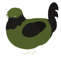 Olive, a olive and sable chicken with a head pattern