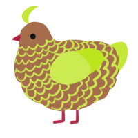 Lemonstar, a brown and lime chicken with a lace pattern