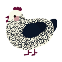A white and tumblr chicken with a double-lace pattern