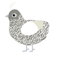 A ash and white chicken with a double-lace pattern