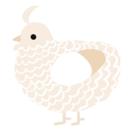 A cream chicken with a lace pattern