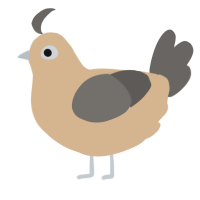 A beige and grey chicken