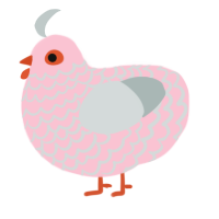 A rose and silver chicken with a lace pattern