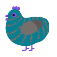 A sea and grey chicken with a bar pattern