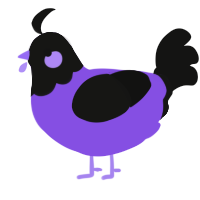 A blurple and black chicken with a head pattern