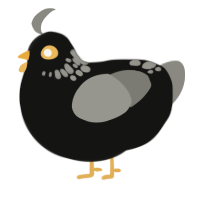 A black and ash chicken with a neck-speckle pattern