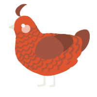 A vermilion and russet chicken with a lace pattern
