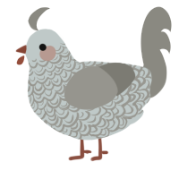 A silver and ash chicken with a double-lace pattern