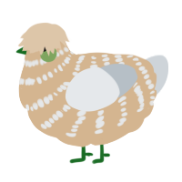A beige and mist chicken with a bar pattern