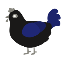 A sable and navy chicken