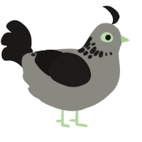 There is a Light, a ash and sable chicken with a neck-speckle pattern