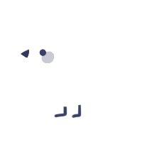 A white chicken with a lace pattern