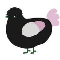 A sable and pink chicken
