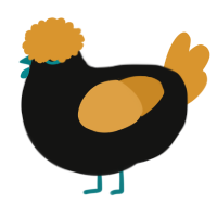 (unnamed), a black and orange chicken