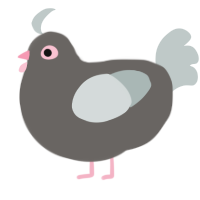 Pigeoooon, a grey and silver chicken