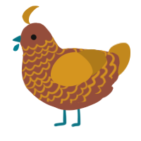 Erosion, a russet and ochre chicken with a lace pattern