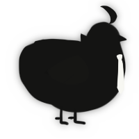 不思議, a black chicken