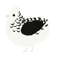A white and black chicken with a half-lace pattern