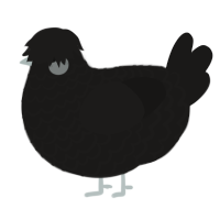 A sable chicken with a lace pattern