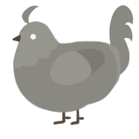 A ash chicken with a head pattern
