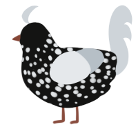 A black and mist chicken with a speckle pattern