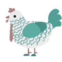 Émeric, a silver and turquoise chicken with a lace pattern