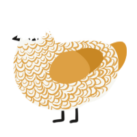 A white and orange chicken with a double-lace pattern
