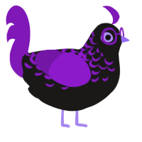 A sable and violet chicken with a half-lace pattern