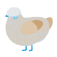 A mist and beige chicken with a double-lace pattern