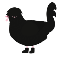 A black chicken with a lace pattern