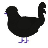 A black chicken with a lace pattern